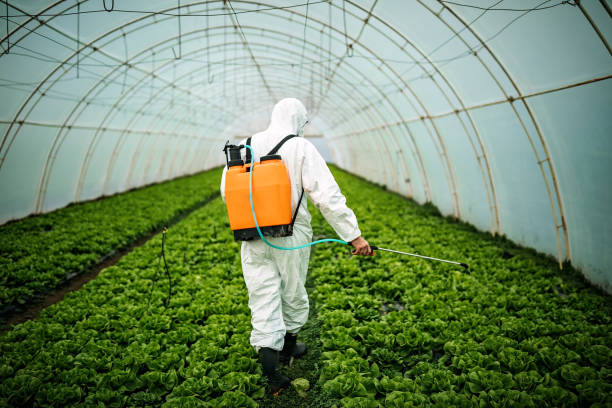 Best Residential Pest Control  in Violet, LA