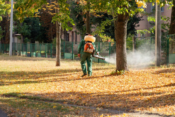Reliable Violet, LA Pest Control Solutions