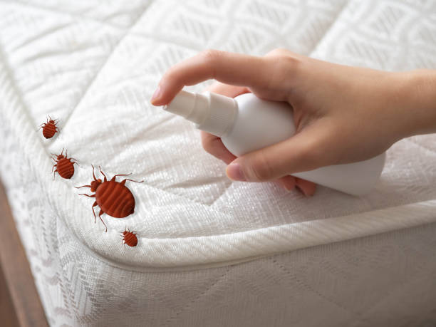 Best Exterminator Services  in Violet, LA