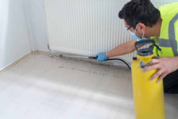 Best Affordable Pest Control Services  in Violet, LA