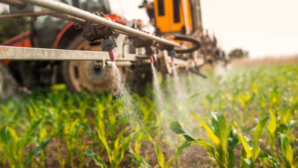 Best Mosquito Control Services  in Violet, LA